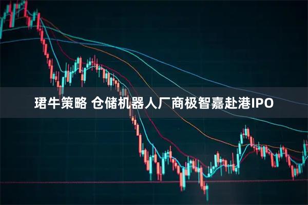 珺牛策略 仓储机器人厂商极智嘉赴港IPO