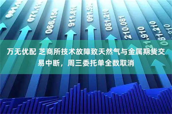 万无优配 芝商所技术故障致天然气与金属期货交易中断，周三委托单全数取消