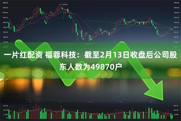 一片红配资 福蓉科技：截至2月13日收盘后公司股东人数为49870户