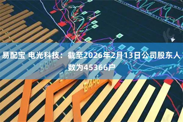 易配宝 电光科技：截至2026年2月13日公司股东人数为45366户
